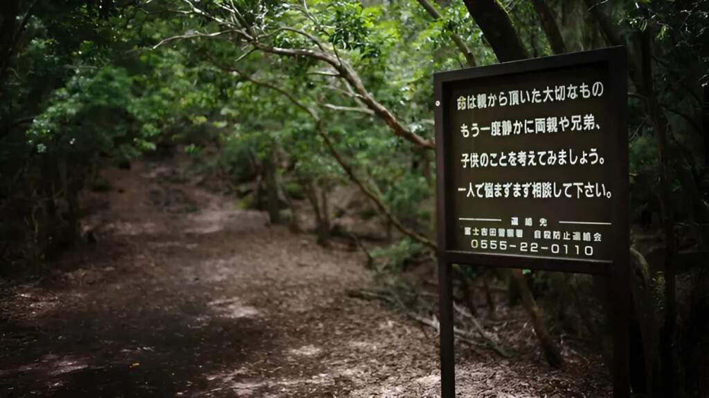 Aokigahara Suicide Forest: A Grim Warning